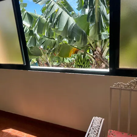 Villa Elisabeth House *