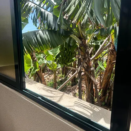 Villa Elisabeth House Ponta do Sol (Madeira)