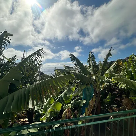 Villa Elisabeth House Ponta do Sol (Madeira)