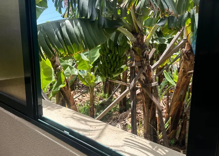 Villa Elisabeth House Ponta do Sol (Madeira)