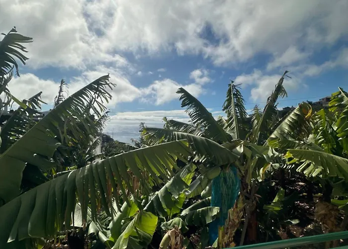 Villa Elisabeth House Ponta do Sol (Madeira)
